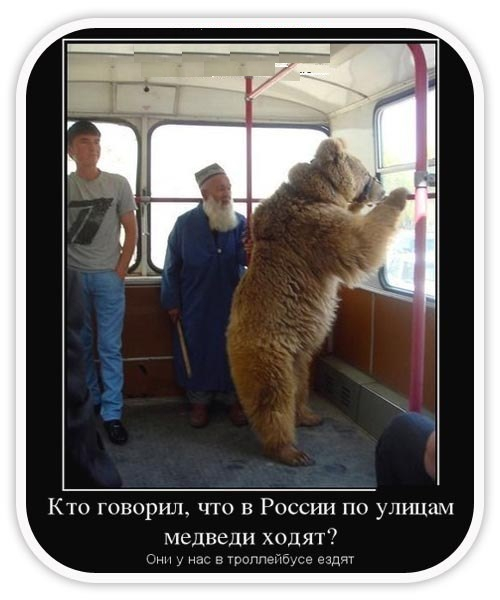 4169-2 (500x600, 153Kb)