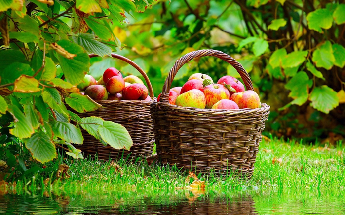 basket-with-apples (700x437, 497Kb)