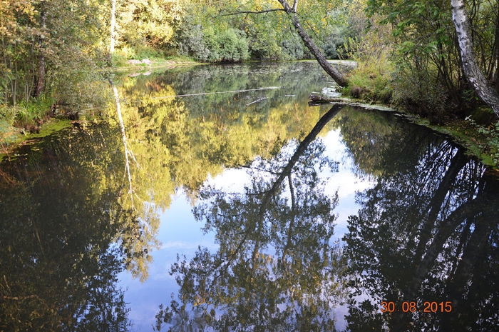 3587765_DSC_5296 (700x465, 353Kb)