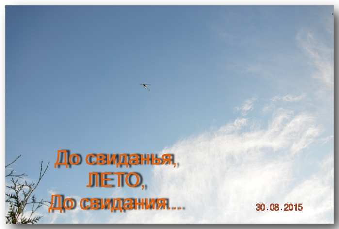 3587765_DSC_5281 (700x472, 163Kb)