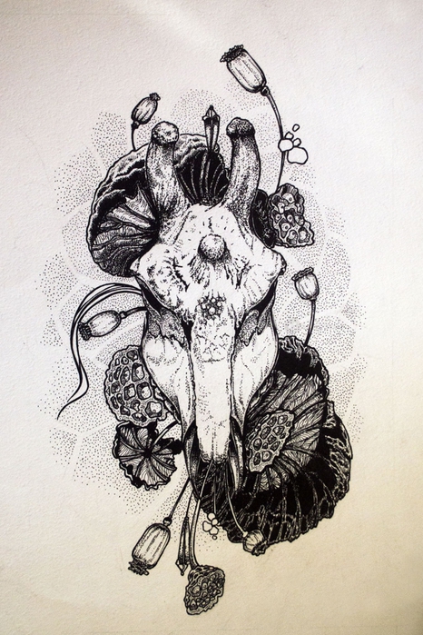 4607630_Giraffe_scull_small (466x700, 288Kb)