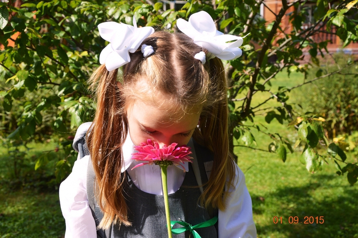 3587765_DSC_5357 (700x465, 297Kb)