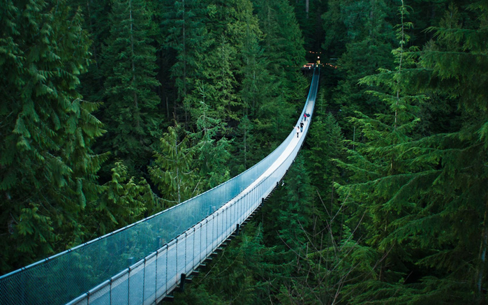 forest-bridge (700x437, 430Kb)