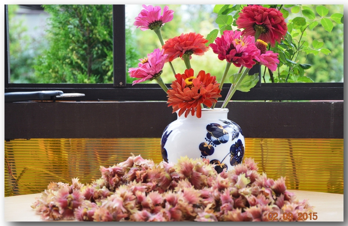 3587765_DSC_5376 (700x455, 272Kb)