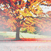 1441393712_79473297_1319781055_tumblr_lrb134t0dL1qb6f1po1_500 (100x100, 45Kb)