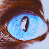 1441394079_82116158_4208141_tumblr_ltouqhIXVp1qayvd5o1_500 (100x100, 38Kb)