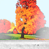 1441394392_116504449_1410783404_tumblr_mulz6pz9ga1sl81a0o1_500 (100x100, 37Kb)