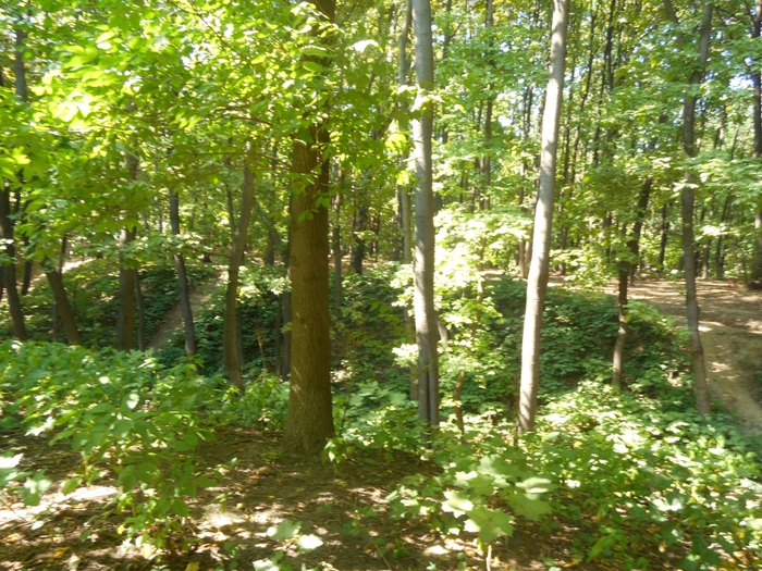 4752699_nesk_013 (700x525, 396Kb)