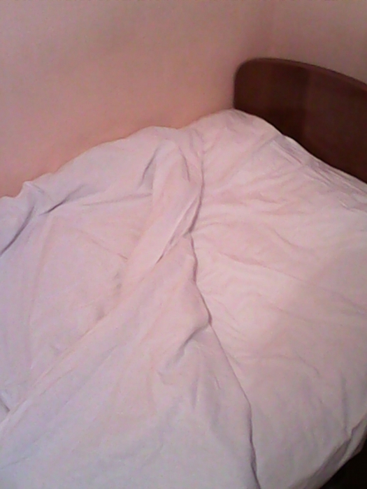 801908_IMG20150830WA0009 (525x700, 172Kb)