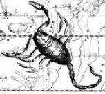 skorpion (152x136, 7Kb)