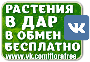  , florafree,   ,  , ,   ,  ,  , ,   ,  /3041158_GreenSeries_florafree_vk (295x204, 71Kb)