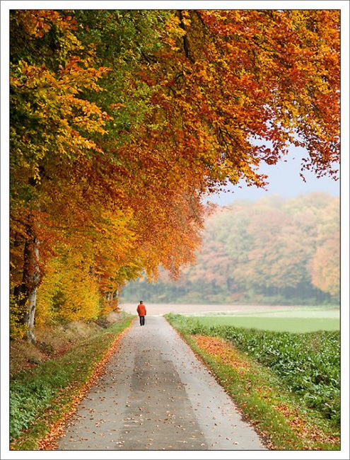 1317633131_35 (495x650, 217Kb)