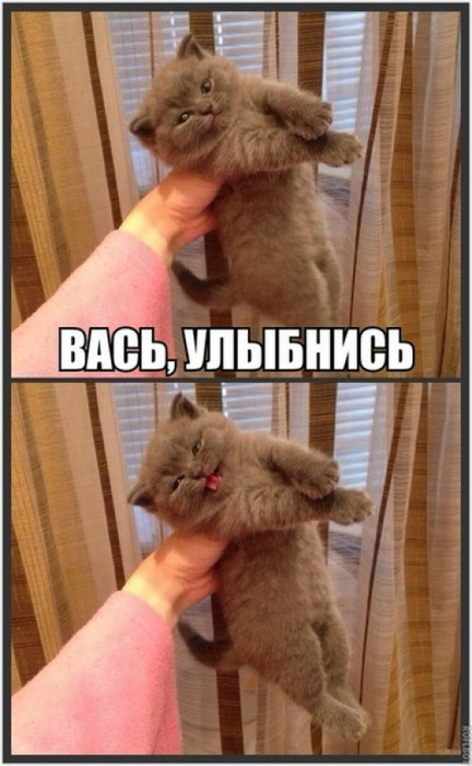 120 (432x700, 314Kb)