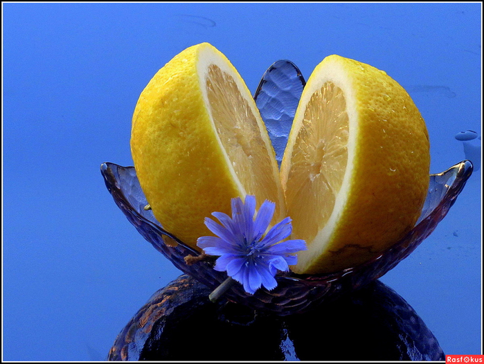 725517f316bdb024c70bc3316b158732 (700x526, 418Kb)