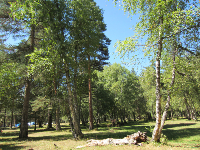 IMG_0104 (700x525, 667Kb)