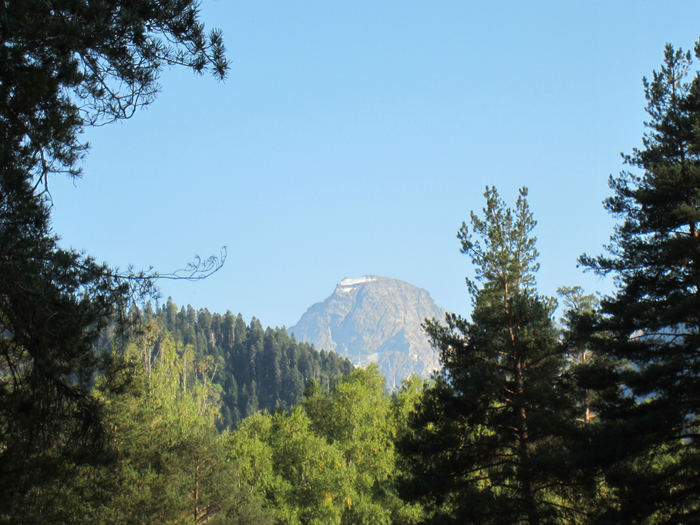 IMG_0129 (700x525, 468Kb)