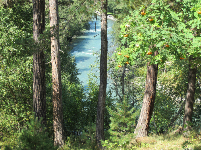 IMG_0175 (700x525, 685Kb)