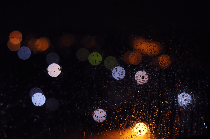 DSC_5870 (700x465, 254Kb)