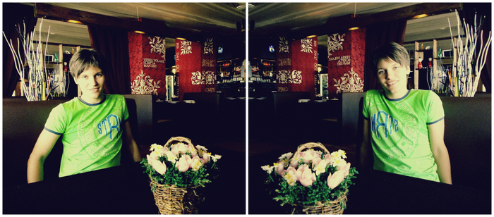 DSCN0018 (700x308, 315Kb)