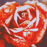 1441981879_rose_in_pink_by_syintheticd71qbzk (150x150, 74Kb)