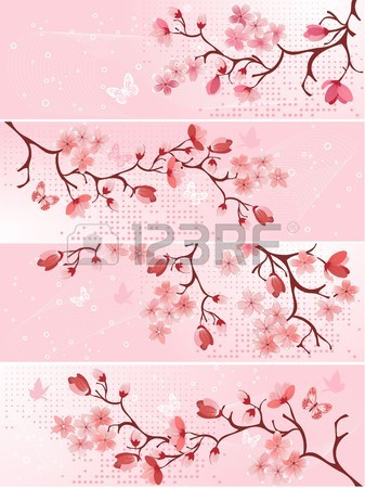 6992574-cherry-blossom,-banner.-illustration (337x450, 181Kb)