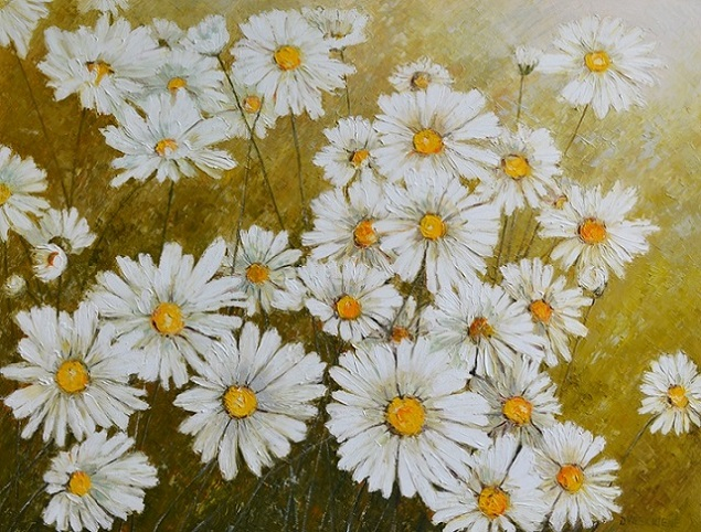 A Flock Of Daisies (635x482, 398Kb)