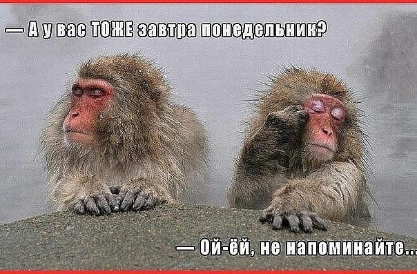 image (604x397, 242Kb)