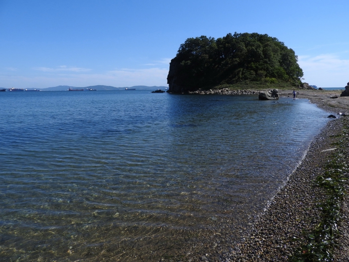 5559494_DSCN3183 (700x525, 286Kb)
