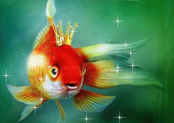 5875002_vzA_p1juSVI (595x423, 76Kb)