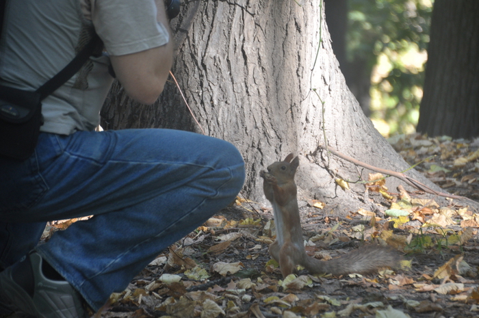 DSC_0869 (700x465, 268Kb)