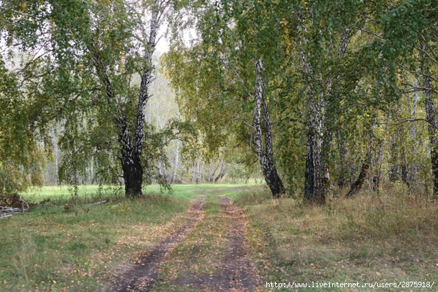 IMG_5326 (640x427, 326Kb)