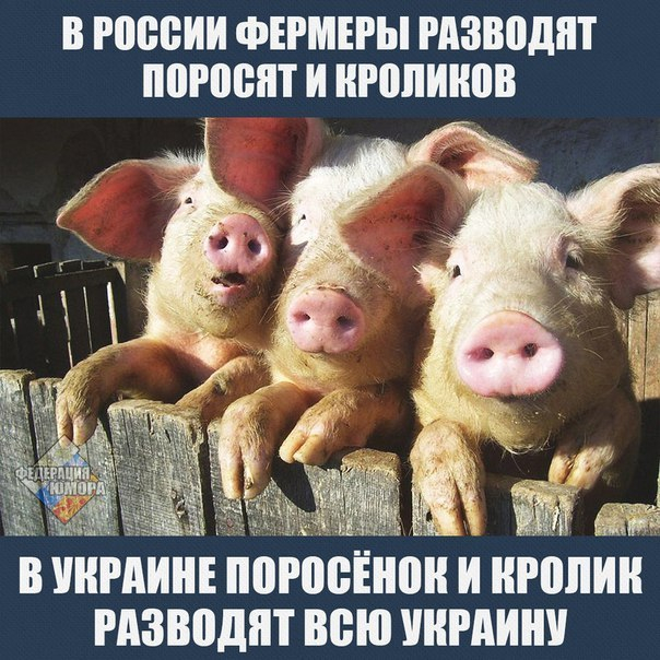 mzI56PRNeng (604x604, 377Kb)