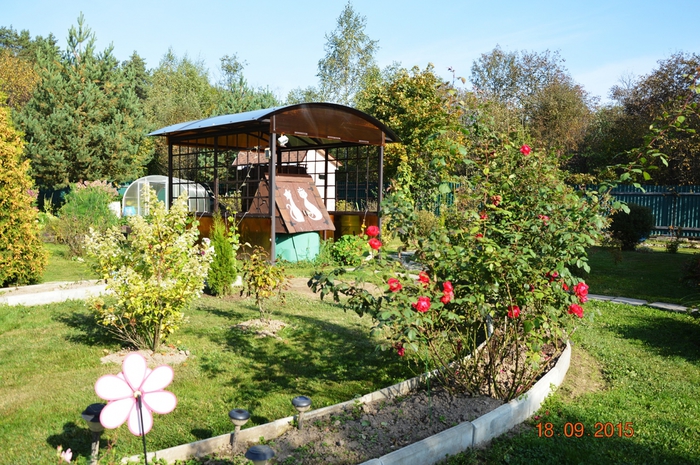 3587765_DSC_5619 (700x465, 348Kb)