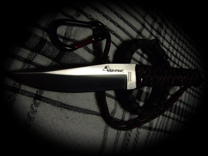 1353503652_WildSteer_Mk2 (700x525, 80Kb)