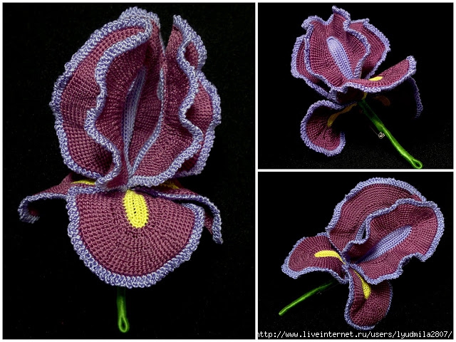 crocheted_silk_iris_3 (640x480, 240Kb)