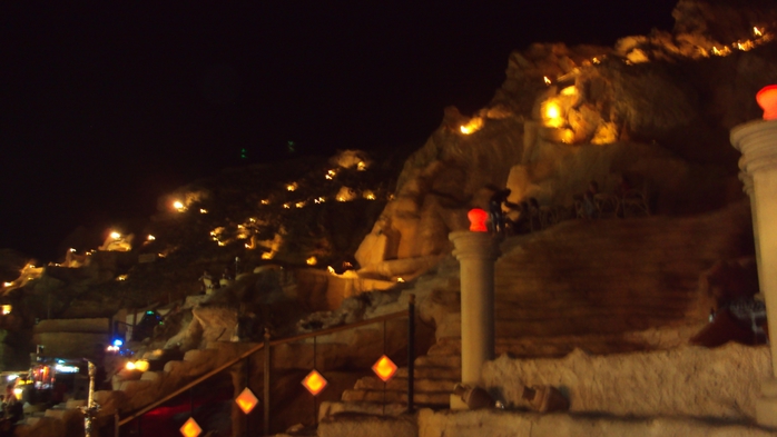 DSC02499 (700x393, 170Kb)