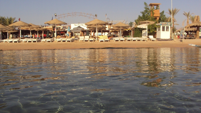 DSC02504 (700x393, 234Kb)