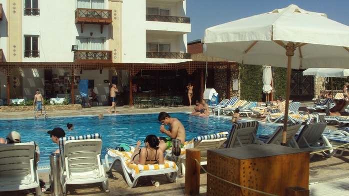 DSC02511 (700x393, 240Kb)