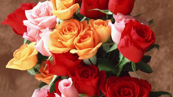 Full HD Flowers 0002 (700x393, 211Kb)