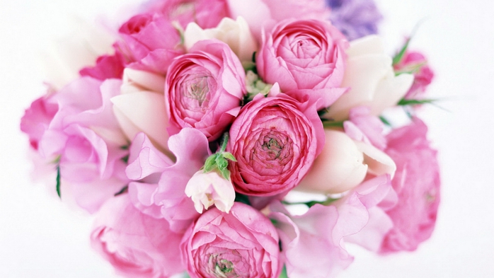 Full HD Flowers 0046 (700x393, 175Kb)