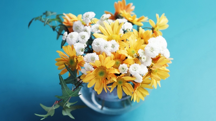 Full HD Flowers 0079 (700x393, 177Kb)