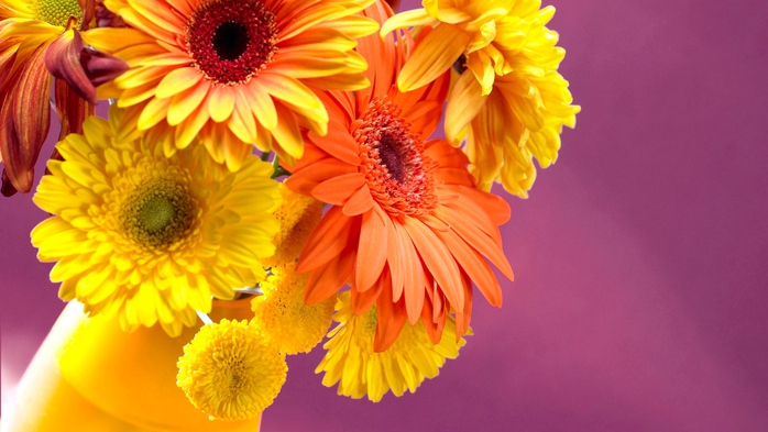 Full HD Flowers 0160 (700x393, 201Kb)