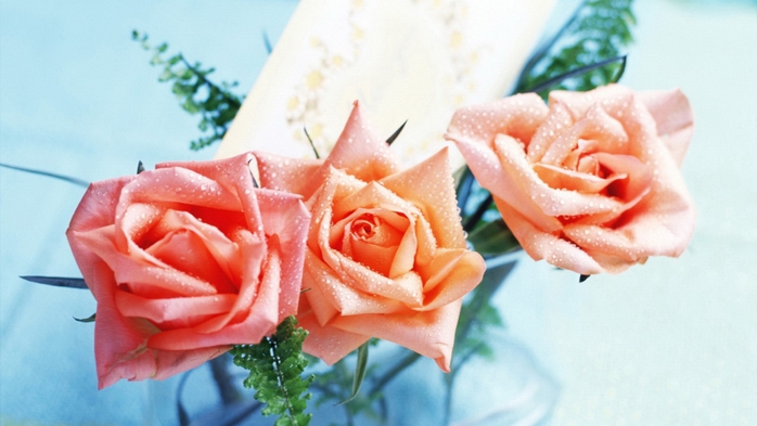 Full HD Flowers 0207 (700x393, 183Kb)