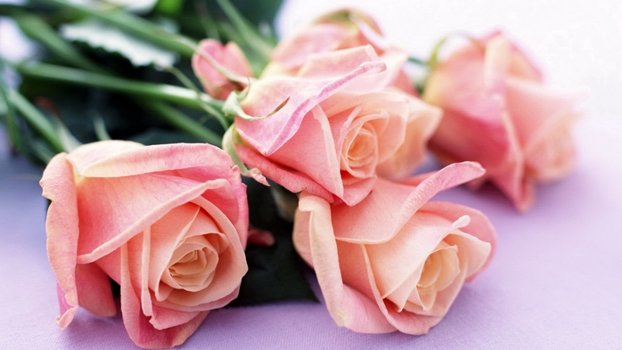 Full HD Flowers 0215 (700x393, 177Kb)