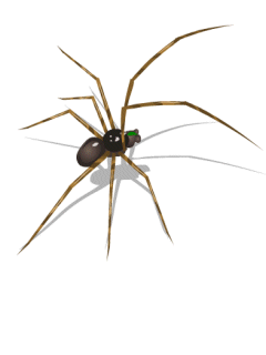 radionetplus_ru_77 (240x320, 130Kb)