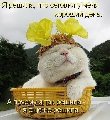 http://img0.liveinternet.ru/images/attach/c/7/94/216/94216108_x_5ca3e625.jpg