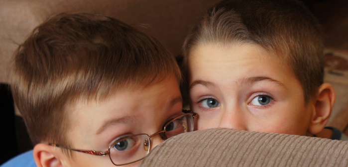 DSC07450 (1)2 (700x337, 85Kb)
