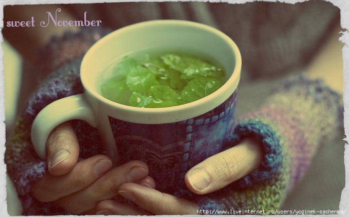 2971014_mittens (700x435, 152Kb)
