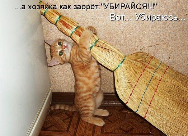 http://img0.liveinternet.ru/images/attach/c/7/94/259/94259630_3887029_iiii.jpg