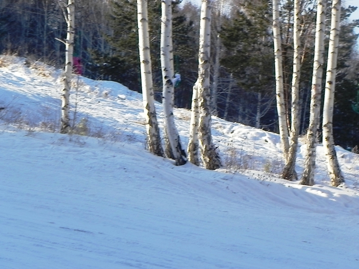 DSCN0114 (700x525, 278Kb)